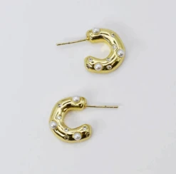 Gleaming C Earrings Treasure Jewels