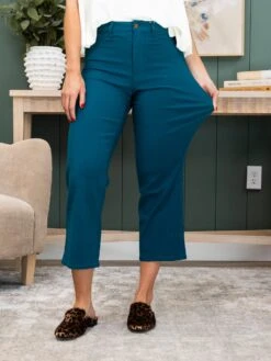 DIVA STRETCH 27" High Rise Wide Leg Stretch Crop (Fall Colors) By DD Design- New | XXS - 3X -Women Clothing Shop 5374a6e90af62cfea5e58a841bc1919a