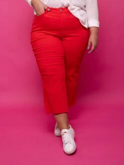 Judy Blue High Waist Garment Dyed Tummy Control Crop Wide Leg Jean | 0 - 24 -Women Clothing Shop 8e0aa5128061689d2456baaa39eee4ba