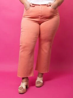 Special A High Rise Stretch Cropped Straight Leg Jeans| 1 - 3XL -Women Clothing Shop 96b5d85c6a1881a5e4e0a9dccc98c16e