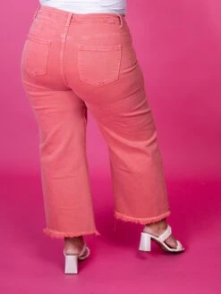 Risen High Rise Crop Wide Leg Pants | 0-3X 6 Risen High Rise Crop Wide Leg Pants | 0-3X -Women Clothing Shop OSdjL9u3VkXP2c9pZJiqy6foOu0A5Y3LRtFmNhxY