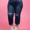 Judy Blue High Waist Distressed Wide Leg Crop Jeans | 0 - 24