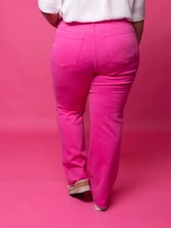 Judy Blue High Waist Garment Dyed 90's Straight Leg Jeans | 0-24 -Women Clothing Shop bisoJJvLC82qxRu8nK2Aonoh4maOnznpgsLvdIfx