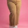 Risen High Rise Tummy Control Crop Wide Leg Frayed Pants | 0-3X